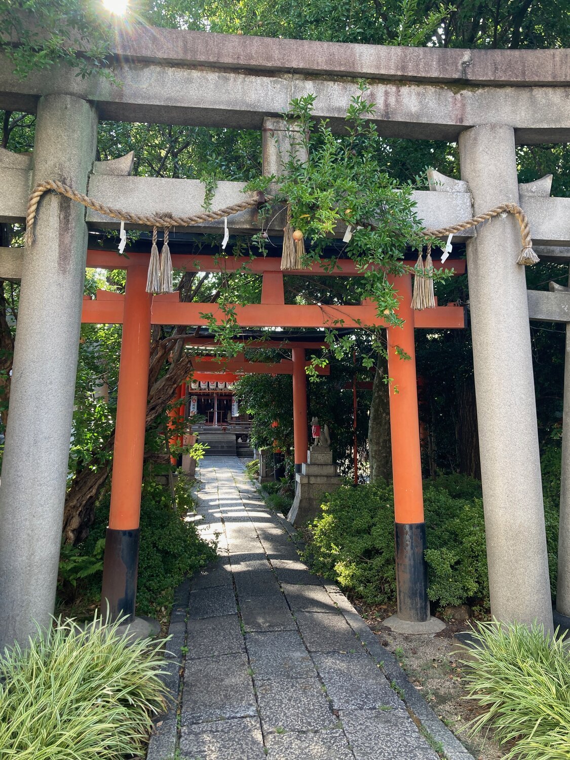 Relaxed person during their first Remote Reiki session at home