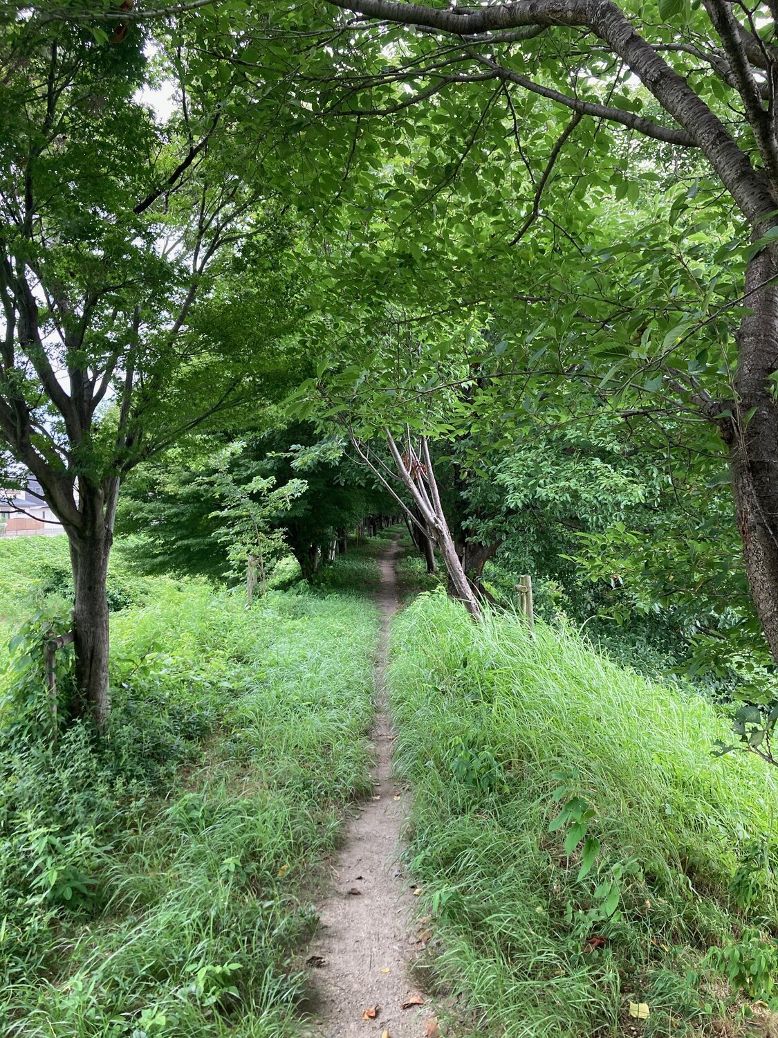 Gratitude practice - scientifically-backed transformation