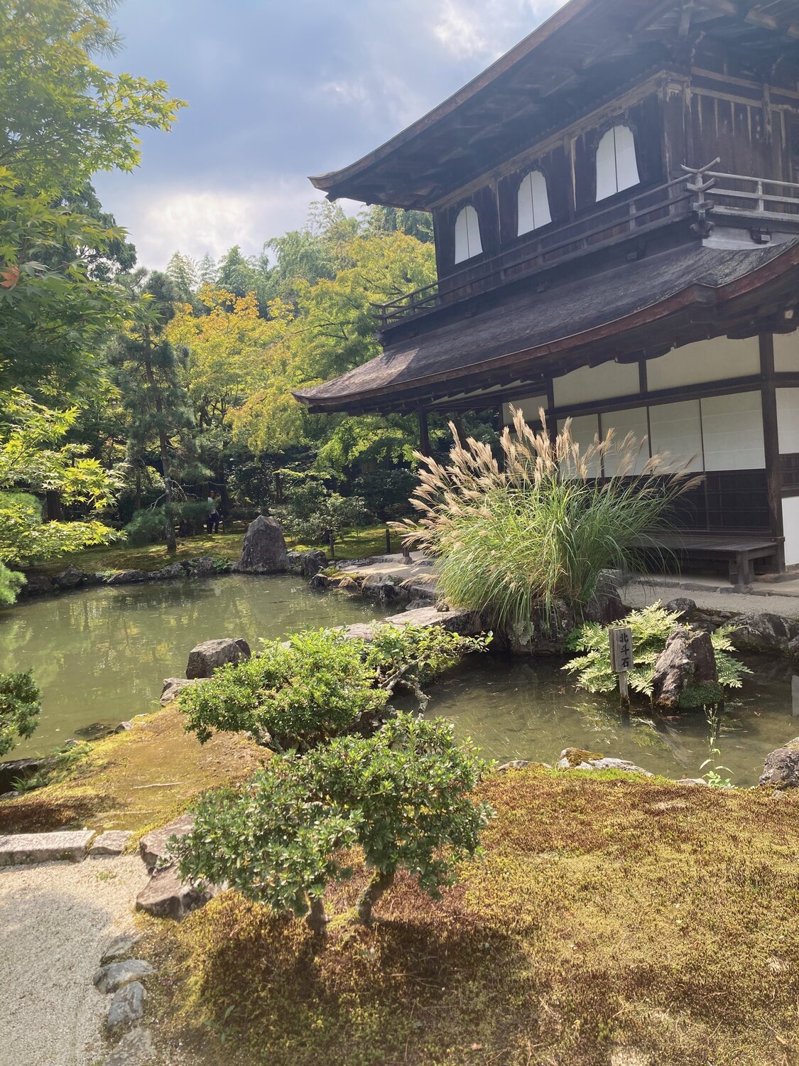 Comparison Remote Reiki and in-person Reiki - both methods overview