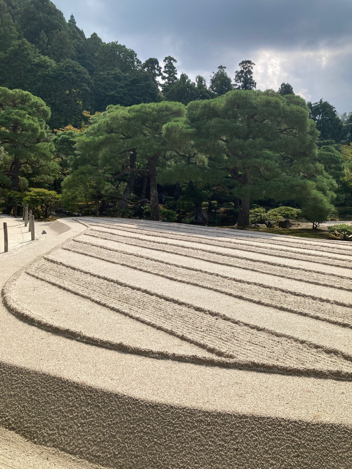 Self-love vs. narcissism - the healthy path to yourself